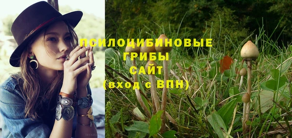 первитин Абинск